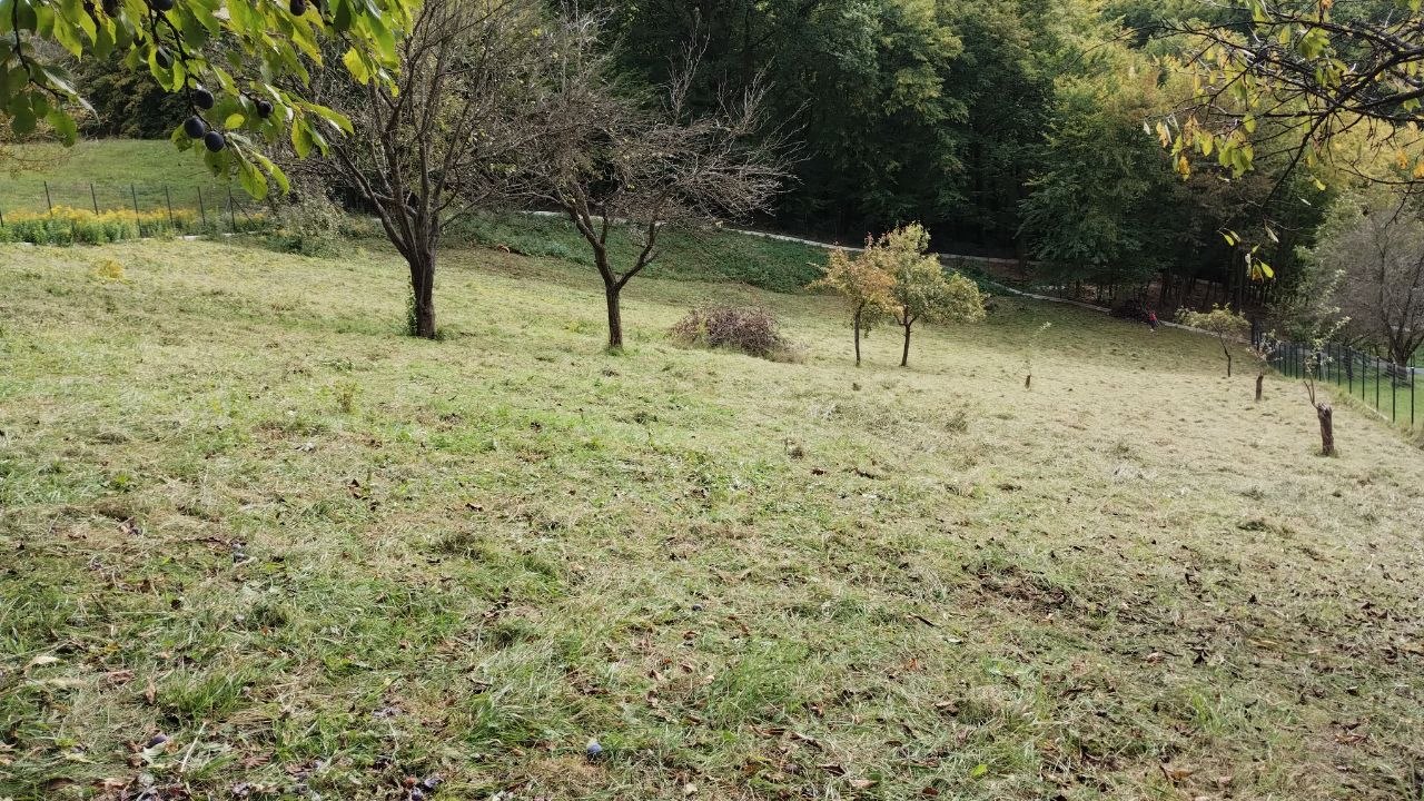Ukážka práce 13